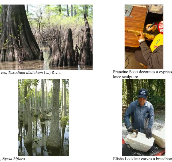 Figure 2.3:  The plants and the artists 