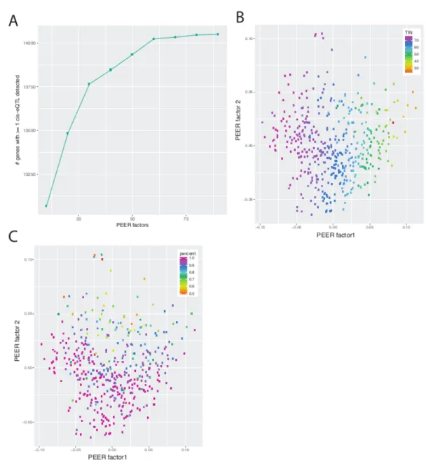 Figure 2.2: Selection and identification of PEER factors: PEER factor curve (A) showing the number  of PEER factors (x-axis) used to identify genes with a significant eQTL association (FDR <5%, y-axis)
