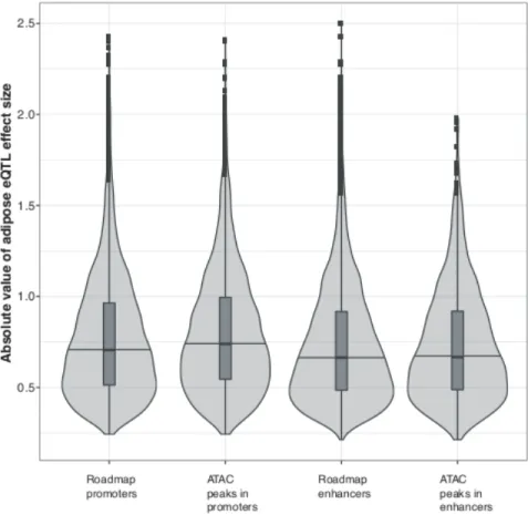 Figure 2.4: eQTL effect sizes for variants located in adipose tissue ATAC-seq peaks or 
