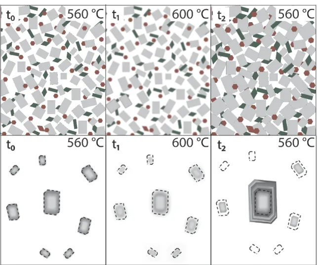 Figure 3. Dissolution-reprecipitation schematic during one temperature oscillation. Top represents the static  crystal matrix; bottom represents K-feldspar coarsening
