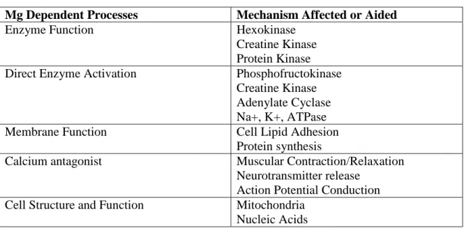 Table 1 coveys the different enzymes, structures, and processes of energy metabolism that  depend on Mg 2+ 
