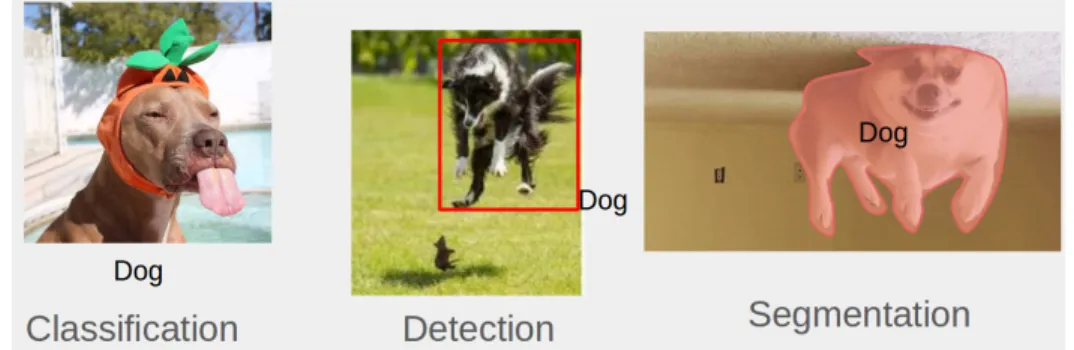 Figure 2.1: Examples of classic object recognition problems in computer vision.