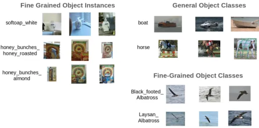 Figure 2.2: Examples of a fine-grained object instances, general object categories, and general fine-grained classes