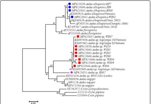 Table 2 Pairwise genetic differentiation (FST) between Ae. albopictus populations and the cryptic population in China