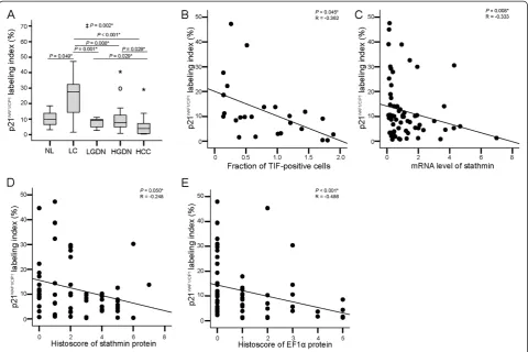 Figure 6 p21WAF1/CIP1 labeling index in HBV-related multistep hepatocarcinogenesis and the correlations thereof with stathmin andelongation factor 1α (EF1α) expression