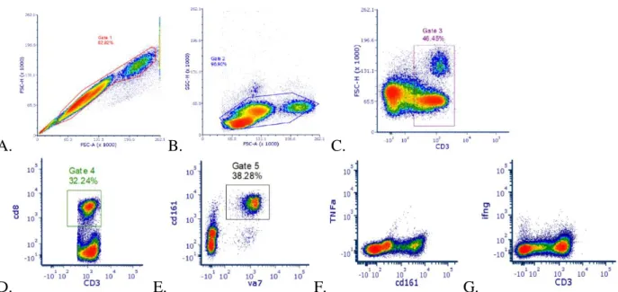 Figure 3. Gating strategy for MAIT cell and cytokine identification. A. Single cells. B