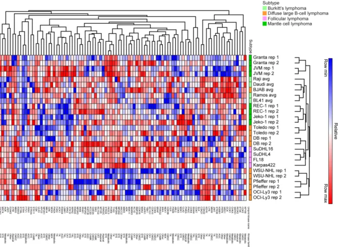 Figure 2.1 Replicates between MIB/MS runs are consistent with each other. Euclidian  hierarchical clustering of lymphoma cell lines from four subtypes that were subject to MIB/MS