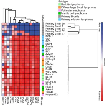 Figure 2.3 A common set of kinases are activated within NHL lymphomas compared to  primary B-cells