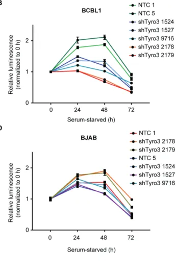 Figure 2.7 Tyro3 knockdown attenuates survival and signaling in PEL cells. (A,B) PEL  BCBL1, (C,D) non-PEL BJAB, or (E) PEL BC1 cells were infected with lentivirus containing  different constructs of shRNA against Tyro3 for 72 hours