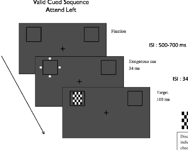 FIGURE 1: Weak endogenous condition trial sequence (Predictability of 65% and Bright  exogenous cue) 