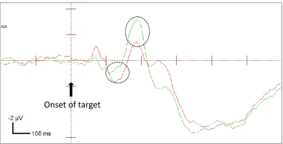 FIGURE 6B. ERPs of exogenously cued and uncued targets at the endogenously invalid  location at the contralateral electrode (amplitudes combined across P07 and P08 electrodes)