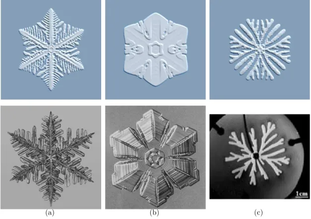 Figure 3.4: Top: Different simulated structures from the ice morphology. Bot- Bot-tom: Photographs for comparison
