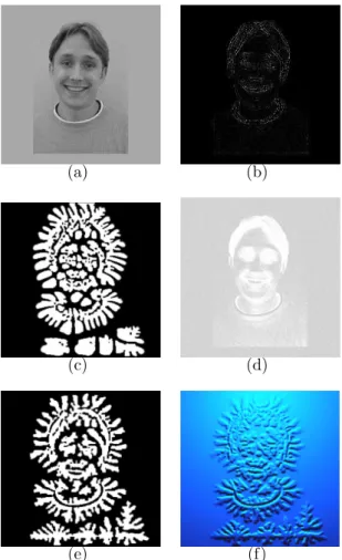 Figure 3.5: Left to right, top to bottom: (a) The source image; (b) the seed crystal texture; (c) simulation results after seed crystal mapping; (d) freezing temperature mapping: White regions are the original T e value, while darker regions are lesser val