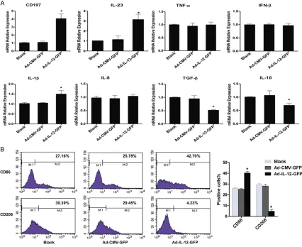 Figure 4. The effect of overexprression of IL-12 on M2 macrophage phenotype. After transferred with recombinant adenovirus for 60 h, the mRNA expression of some M1/M2 macrophage-specific markers was examined by qPCR (A), and the cell surface antigens CD86,