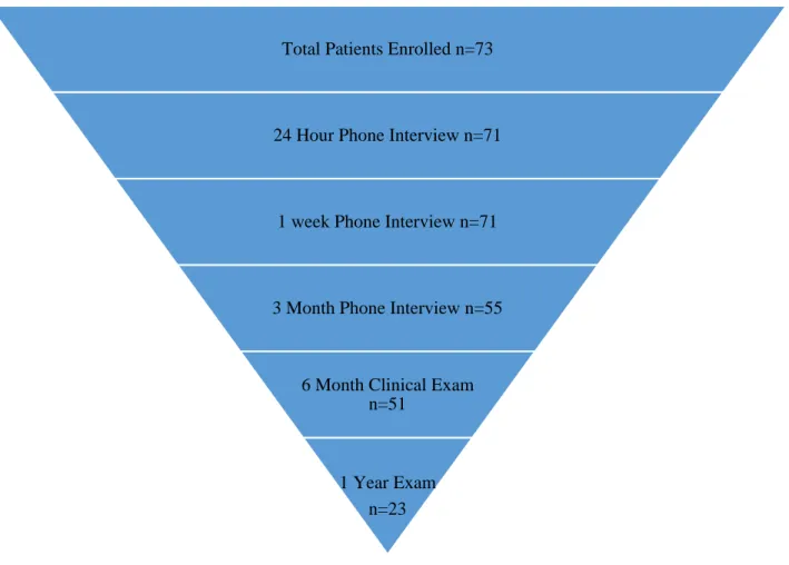 Figure 1: Subject Flow. 73 total subjects participated in the pulp capping procedure. 71 were  available for 24-hour follow-up and 1-week follow-up