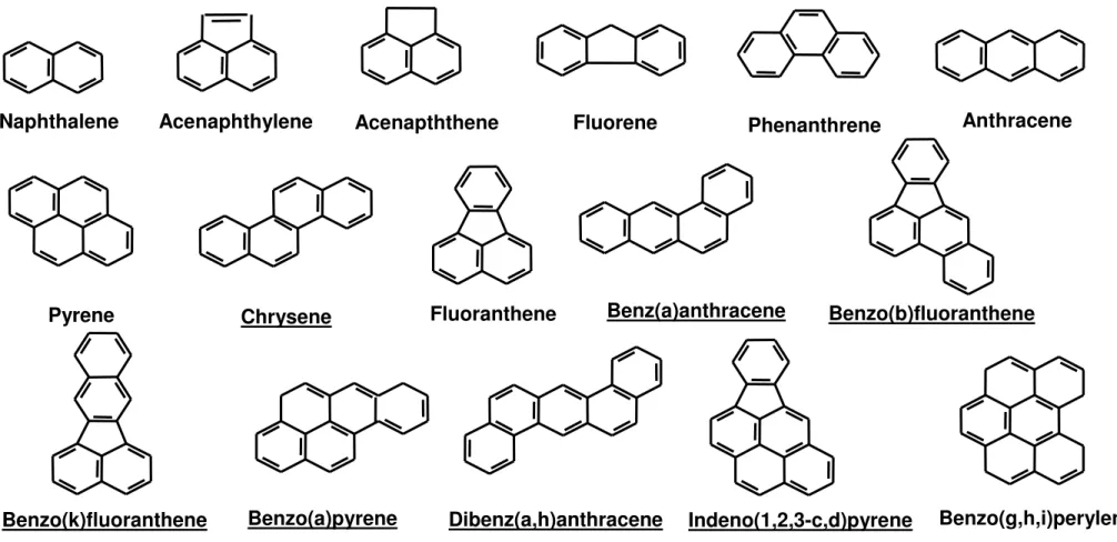 Figure 2.1 Structures of the 16 EPA priority pollutant PAHs. EPA Class B2 carcinogens are underlined.