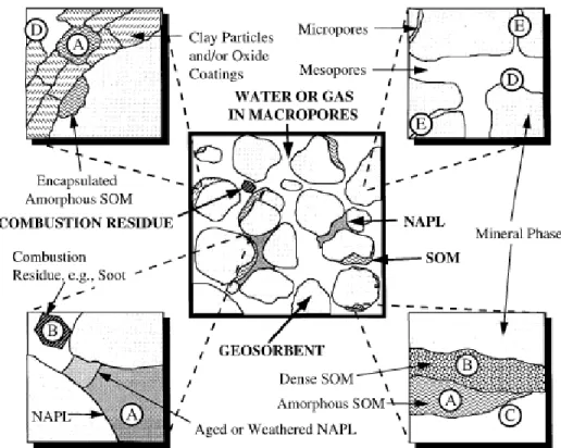 Figure 2.2 Conceptual model of geosorbent compartments developed by Luthy et al. 