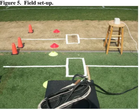 Figure 6.  Jump landing and cutting task. 