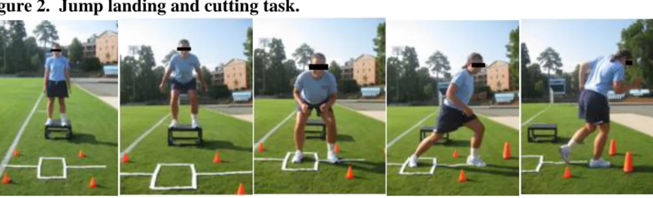 Figure 2.  Jump landing and cutting task. 