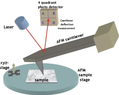 Figure 1.1. Atomic force microscope set-up. 