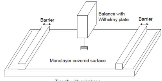 Figure 1.2. Typical Langmuir-Blodgett trough set-up. Missing from the schematic  is the substrate dipper controls