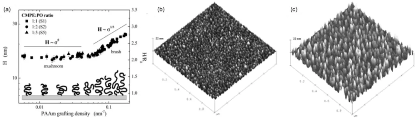 Figure 1.8. Change in polymer brush film thickness (H) with increasing grafting density
