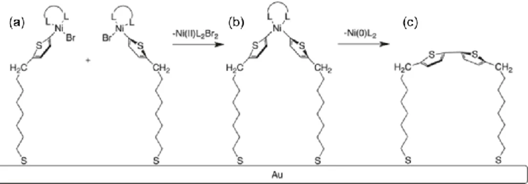 Figure 2.6. Proposed formation and structures of disproportionated ML seeds. (a) Inserted ML  seeds, (b) disproportionated ML seeds with a metal center, and (c) disproportioned ML seeds 