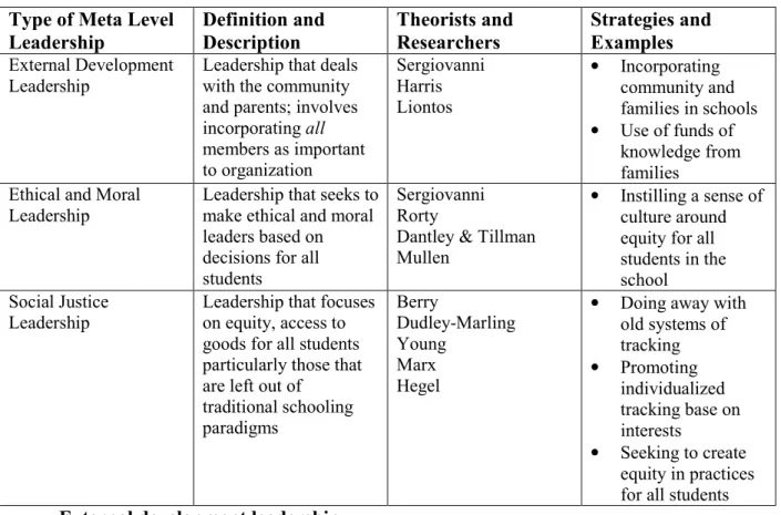 Table 2.1. Meta Level Leadership  Type of Meta Level 