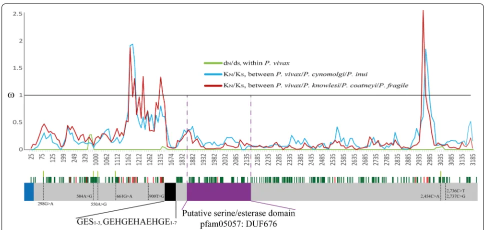 Table 1 pvron4 genetic diversity estimators calculated from single nucleotide polymorphism and sequence length poly-morphism