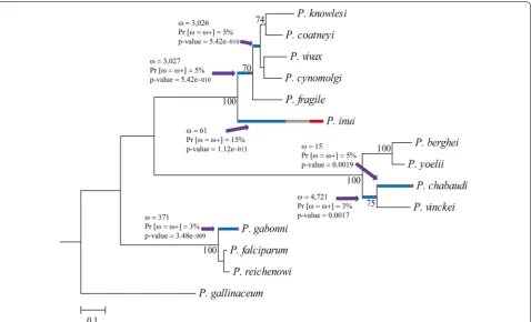 Table 4 Inter-population FST statistic for pvron4