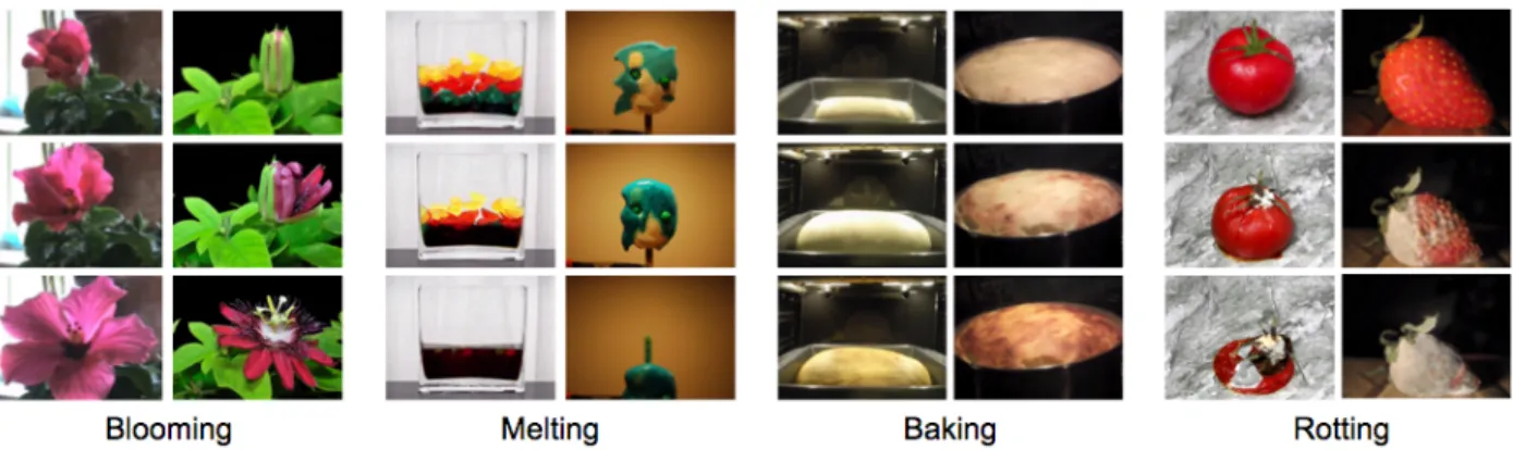 Figure 1.1: Example frames from our dataset of each transformation category: Blooming, Melting, Baking, and Rotting