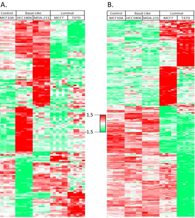 Figure 2.3 - A heatmap of unsupervised hierarchical clustering analysis of the z-scored basal- basal-specific (A) and luminal-basal-specific (B) proteins (rows) secreted by five cell lines (columns)