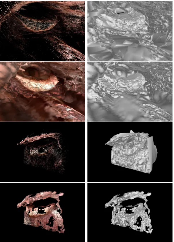 Figure 3.1: Surface estimates using multi-view stereo reconstruction tend to be noisy and/or incomplete for endoscopic data