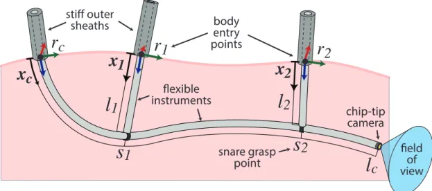 Figure 2.2: A stiff outer sheath introduces the tubes into the body entry points r c , r 1 , and r 2 