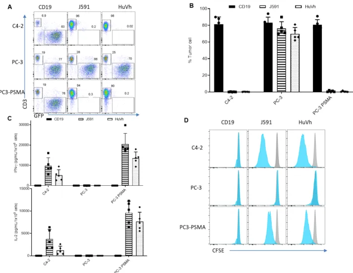 Figure 3  T cells expressing J591 or HuVh show similar antitumor activities in vitro. Representative  flow cytometry plots showing coculture with C4-2-eGFP (positive control), PC-3-eGFP (negative  control) and PC-3-PSMA-eGFP (target cell)