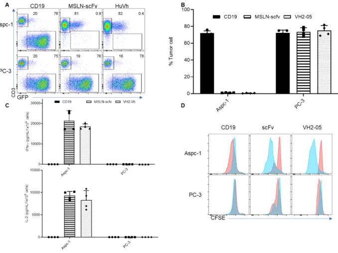 Figure 5 T cells expressing MSLN.scFv or HuVh show comparable antitumor activities in vitro  Representative flow cytometry plots showing coculture with PC-3-eGFP (negative control) and  Aspc-1-eGFP (target cell)