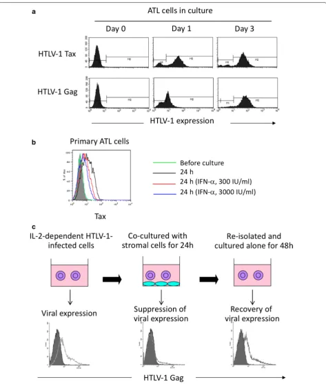Fig. 2 Switch of HTLV-1 expression in vivo and in vitro. a HTLV-1 antigens in primary ATL cells isolated from the peripheral blood are undetectable before culture (day 0), but are induced after in vitro culture (day 1 and 3) [20]