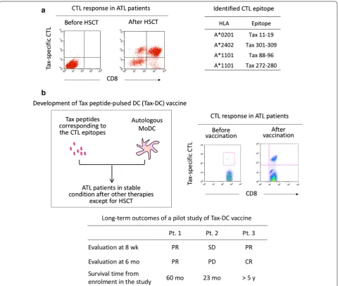 Fig. 3 Tax-targeted immunotherapy for ATL patients. HSCT and can be evaluated by proliferation of CD8sequences of the major epitopes recognized by these Tax-specific CTLs were identified (right) [was developed using autologous DCs pulsed with Tax peptides 