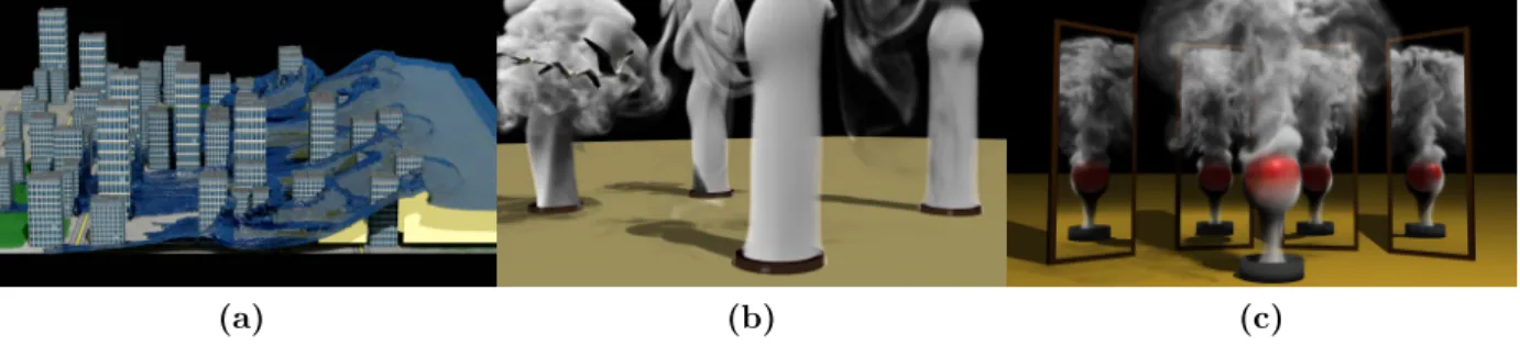 Figure 2.1: Examples of fluids simulated with my technique: (a) a city block hit by a tsunami (vortex domain in yellow) (b) seagulls flying through smoke (c) smoke flow around a sphere