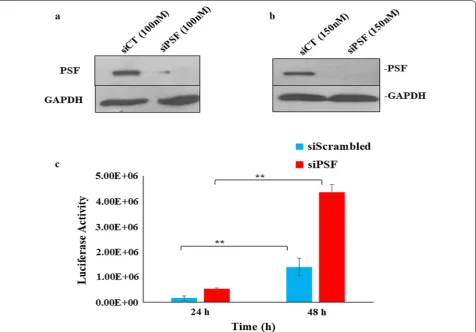 Fig. 4 Impact of knockdown of PSF on HIV replication as measured by luciferase reporter gene assay