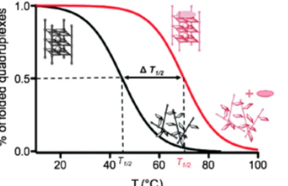 Figure 1.7 Schematic representation of melting temperature experiments using CD at 295 nm
