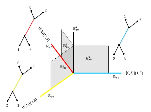 Figure 4.1: Depiction of T 3 : three copies of R 5 ≥0 , L 1 , L 2 , L 3 , each corresponding to one of three possible tree topologies pasted together on a copy of R 4 ≥0 , denoted L 0 .
