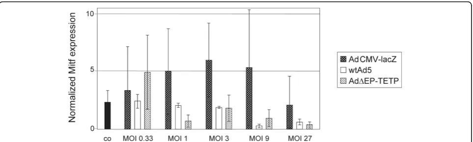 Figure 8 Mitf RNA expression levels in non-infected (co) and infected cells as measured by RT-PCR