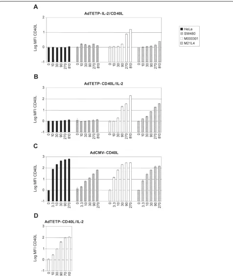Figure 2 CD40L transgene expression by different recombinant Ad vectors. Serial 3-fold increasing amounts of AdTETP-IL-2/CD40L (A),AdCD40L/IL-2 (B), and AdCMV-CD40L (C) were used to transduce HeLa cervical carcinoma, SW480 colon carcinoma, and M000301 and 