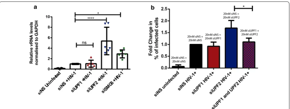 Fig. 4 UPF2 and SMG6 knockdown enhance HIV-1 vRNA expression in primary HIV-1-infected MDMs
