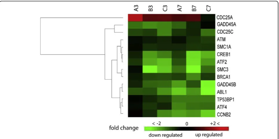 Figure 8 Cluster analysis of expression profile for genes of ataxia telangiectasia mutated (ATM) pathway