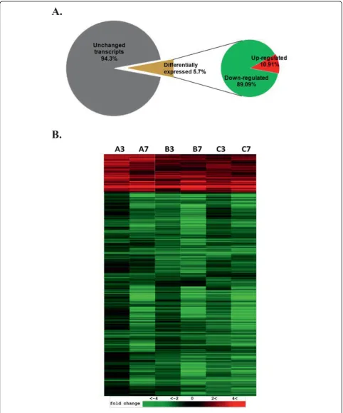 Figure 2 (A) Gene expression overview of Macaca mulatta kidney epithelial cells infected with MPV