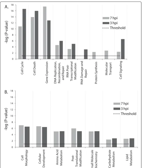 Figure 4 Comparative functional analysis of differentially expressed genes at 3 and 7 hpi