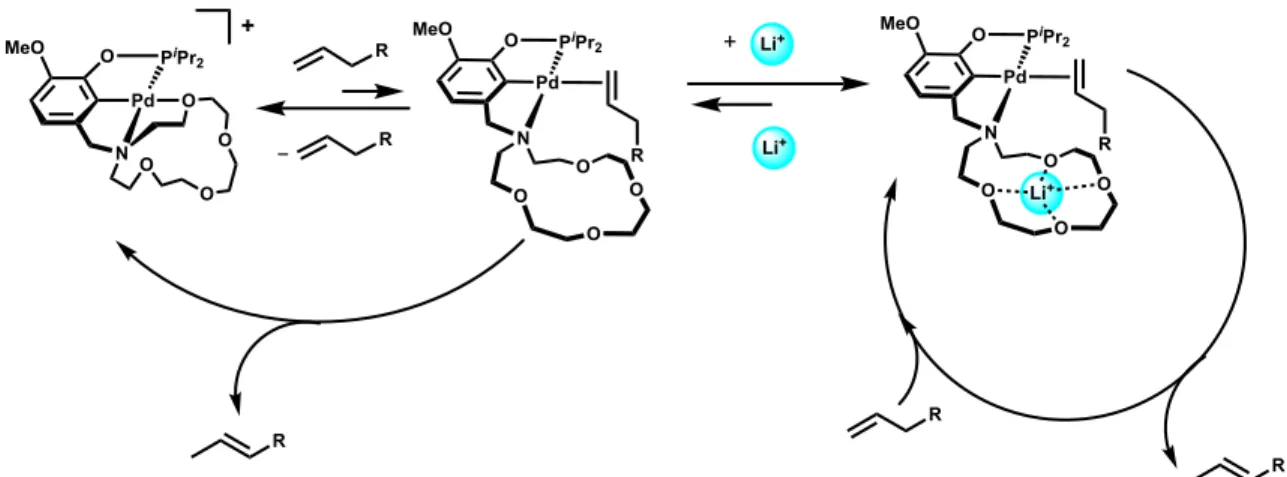 Figure 3.2. Cationic Pd complexes in this study and expected olefin binding reactivity
