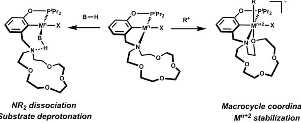 Figure 1.12. Hemilability of pincer crown ether ligand scaffold to stabilize high valent  intermediates and serve as an internal base